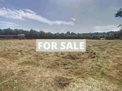 Detached Country House with Open Views