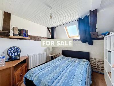 Detached Country House with Outbuilding and Land