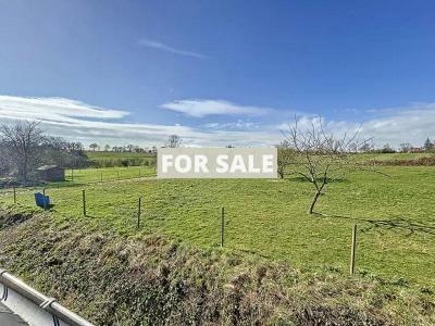 Detached Country House with Outbuilding and Land