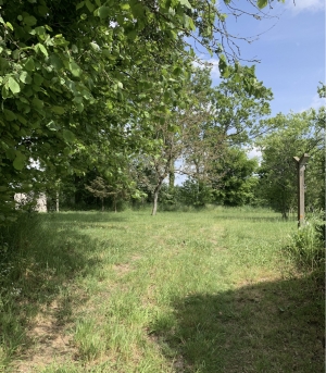 Building Plot For Sale
