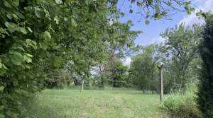 Building Plot For Sale