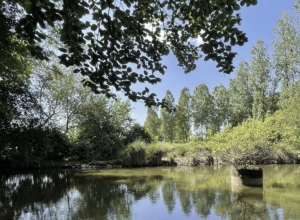 Leisure Plot with Lake