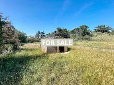 Beach Hut For Sale