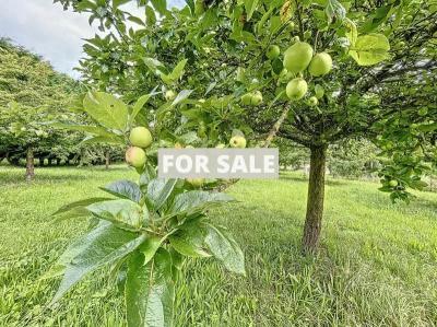Property For Sale