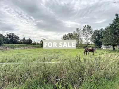 Property For Sale