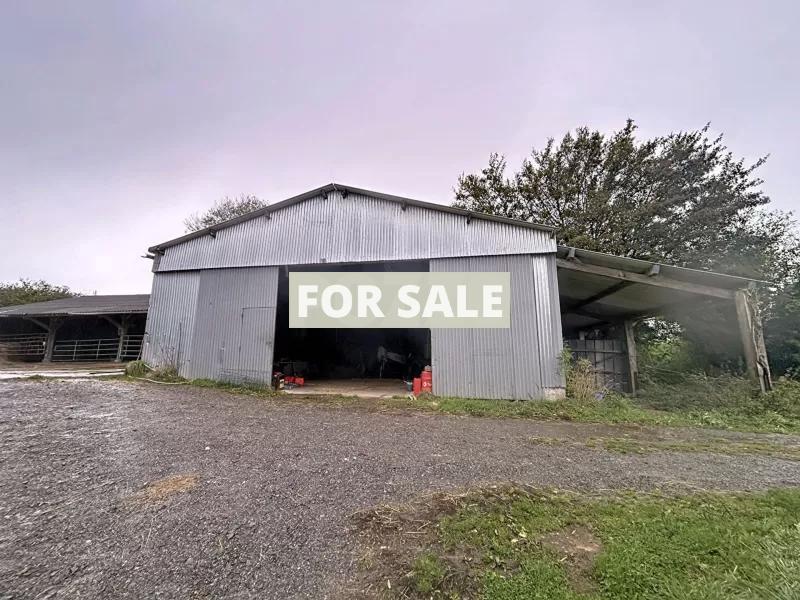 Equestrian Property with Multiple Outbuildings