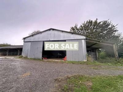 Equestrian Property with Multiple Outbuildings