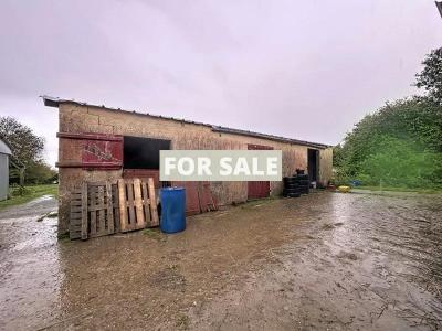 Equestrian Property with Multiple Outbuildings