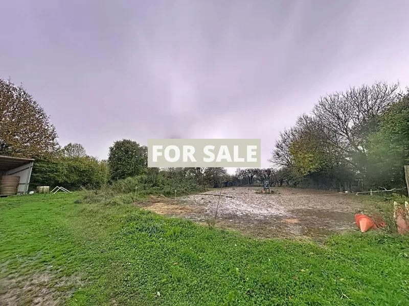 Equestrian Property with Multiple Outbuildings