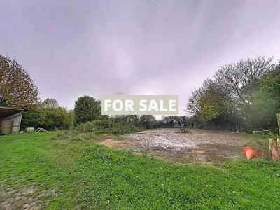 Equestrian Property with Multiple Outbuildings