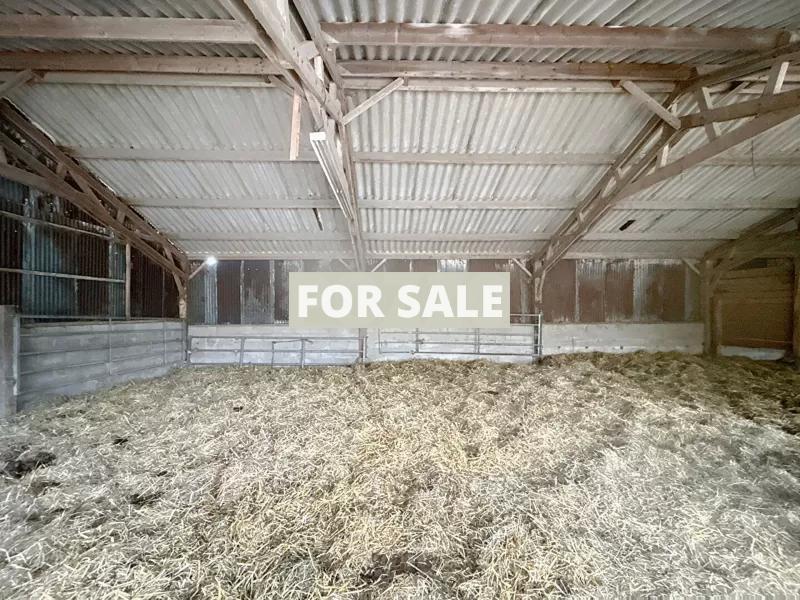 Equestrian Property with Multiple Outbuildings