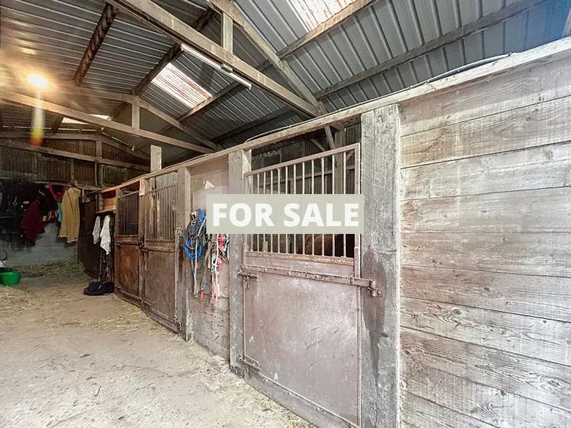 Equestrian Property with Multiple Outbuildings