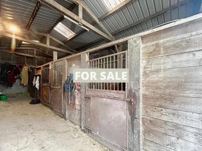 Equestrian Property with Multiple Outbuildings