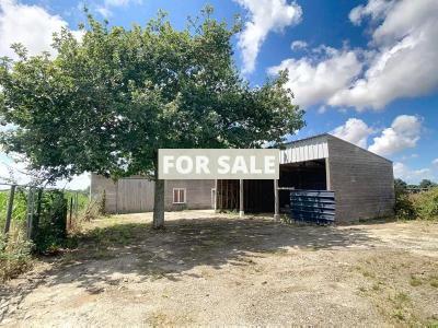 Property For Sale