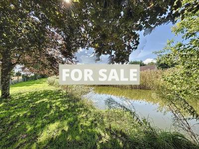 Property For Sale