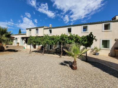Beautiful Exceptional House in The Heart of The Vineyards