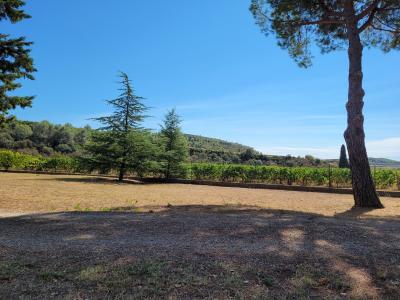 Beautiful Exceptional House in The Heart of The Vineyards