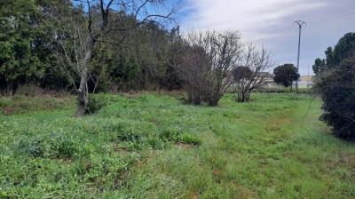 Constructible Building Plot in A Dynamic Village