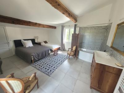 Property With Guest Gite, Main House and Swimming Pool