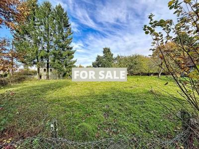 Detached Country House with Open Views