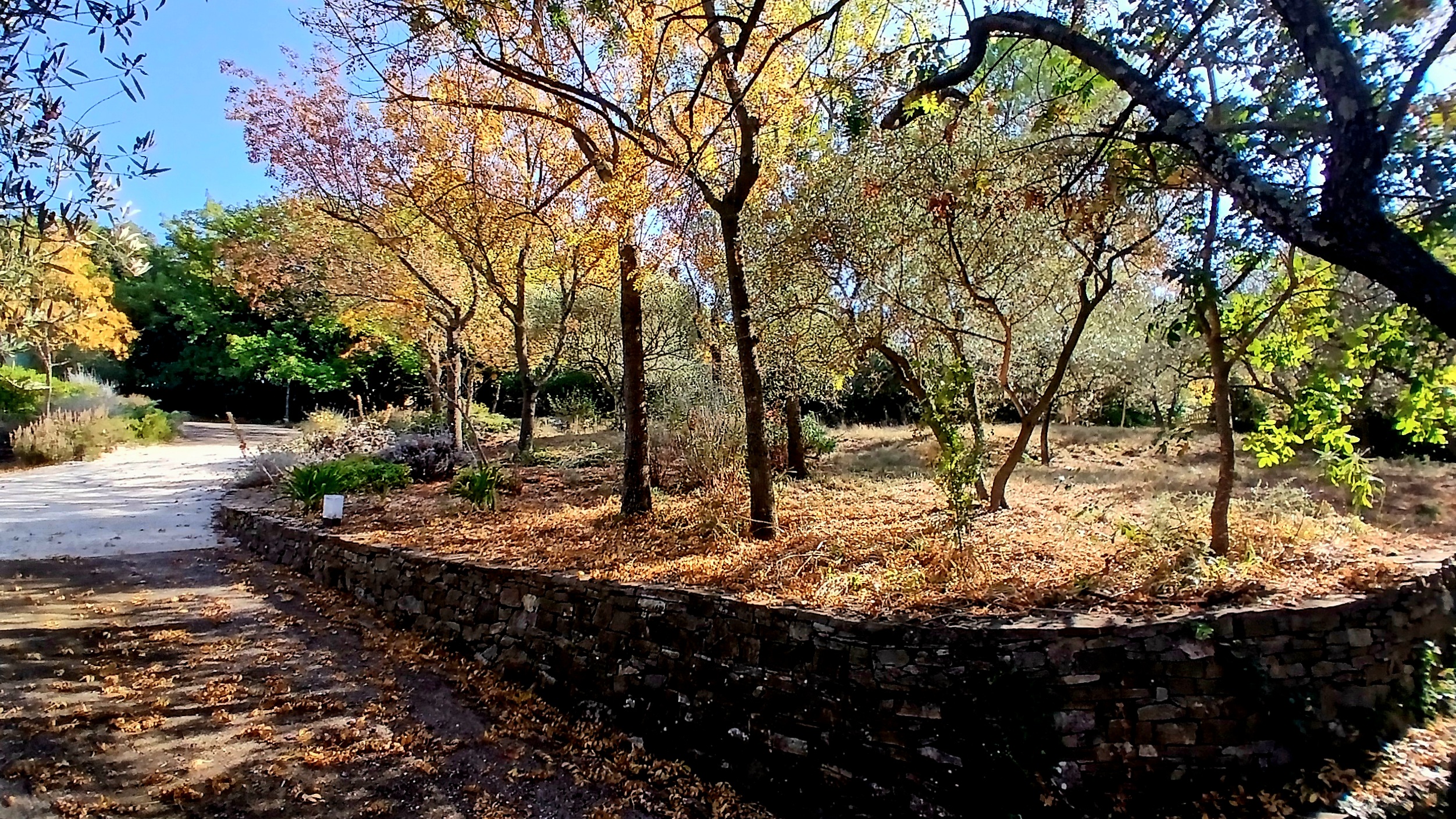 Detached House With Garage and Lovely Open View