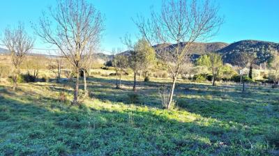 Building Plot On The Edge of a Quiet Village