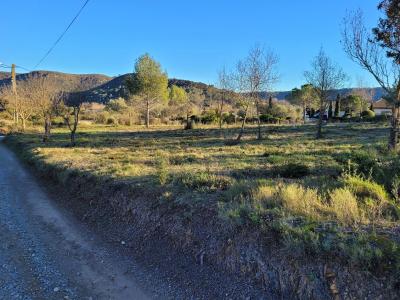 Building Plot On The Edge of a Quiet Village