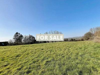 Stunning Country House with Outbuilding and Open View