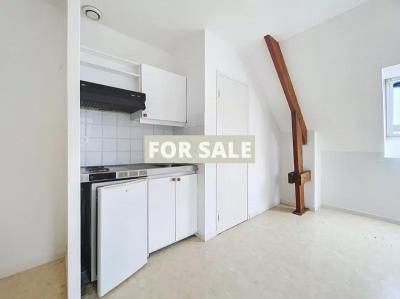 Detached House with Garden