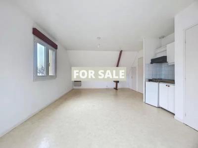 Detached House with Garden