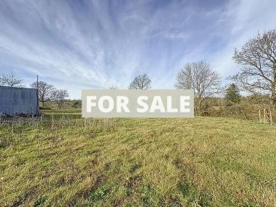 Property For Sale