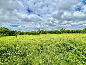Detached Period Country House with Land