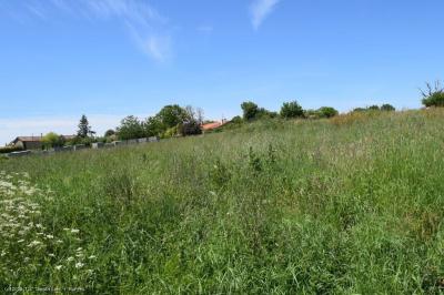 Land To Build On of 2/3 Acre Plot