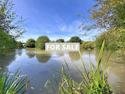 Huge Grand Country Property with Parkland Gardens and Lake