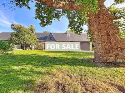 Huge Grand Country Property with Parkland Gardens and Lake