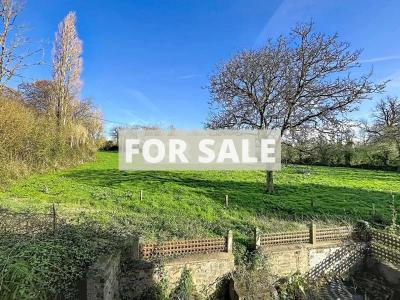 Stone Built Country House with Open View