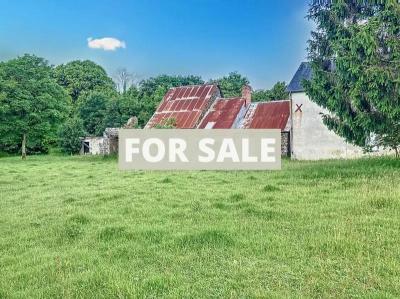 Detached Country House with Outbuilding