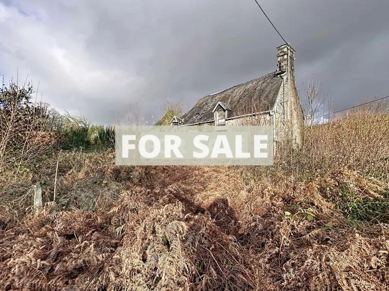 Detached Country House with Outbuilding