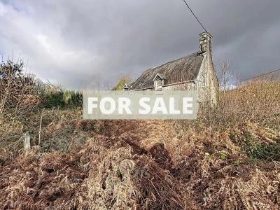 Detached Country House with Outbuilding