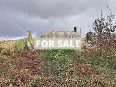 Detached Country House with Outbuilding