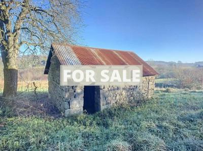 Detached Country House with Outbuilding