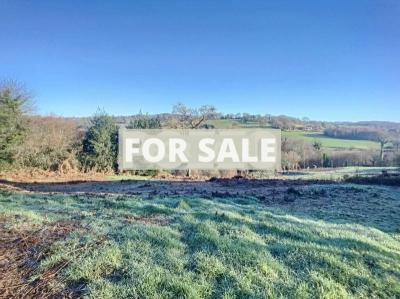 Detached Country House with Outbuilding