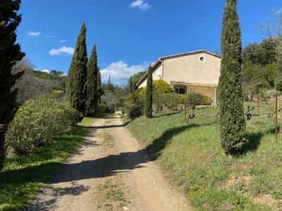 Main House and Guest Gite on 5,5 Hectares Of Land