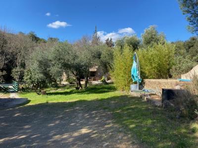 Main House and Guest Gite on 5,5 Hectares Of Land