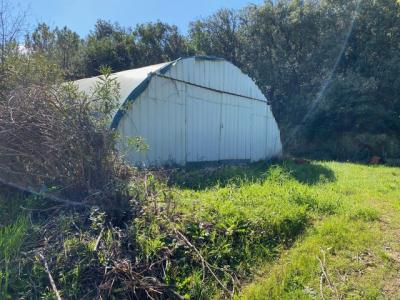 Main House and Guest Gite on 5,5 Hectares Of Land