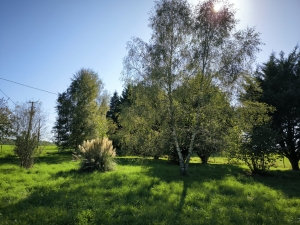 Building Plot with Services Nearby