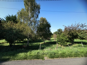 Building Plot with Services Nearby