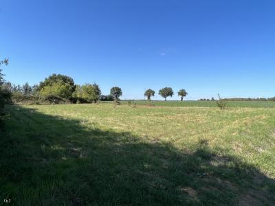 Level Building Plot With Mains Drainage Available