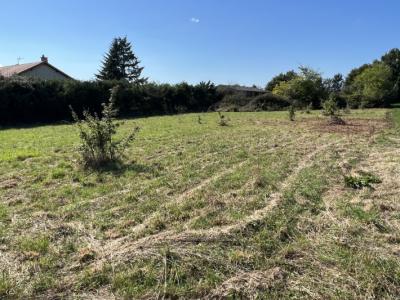 Level Building Plot With Mains Drainage Available