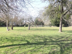 Detached Country House with Large Garden